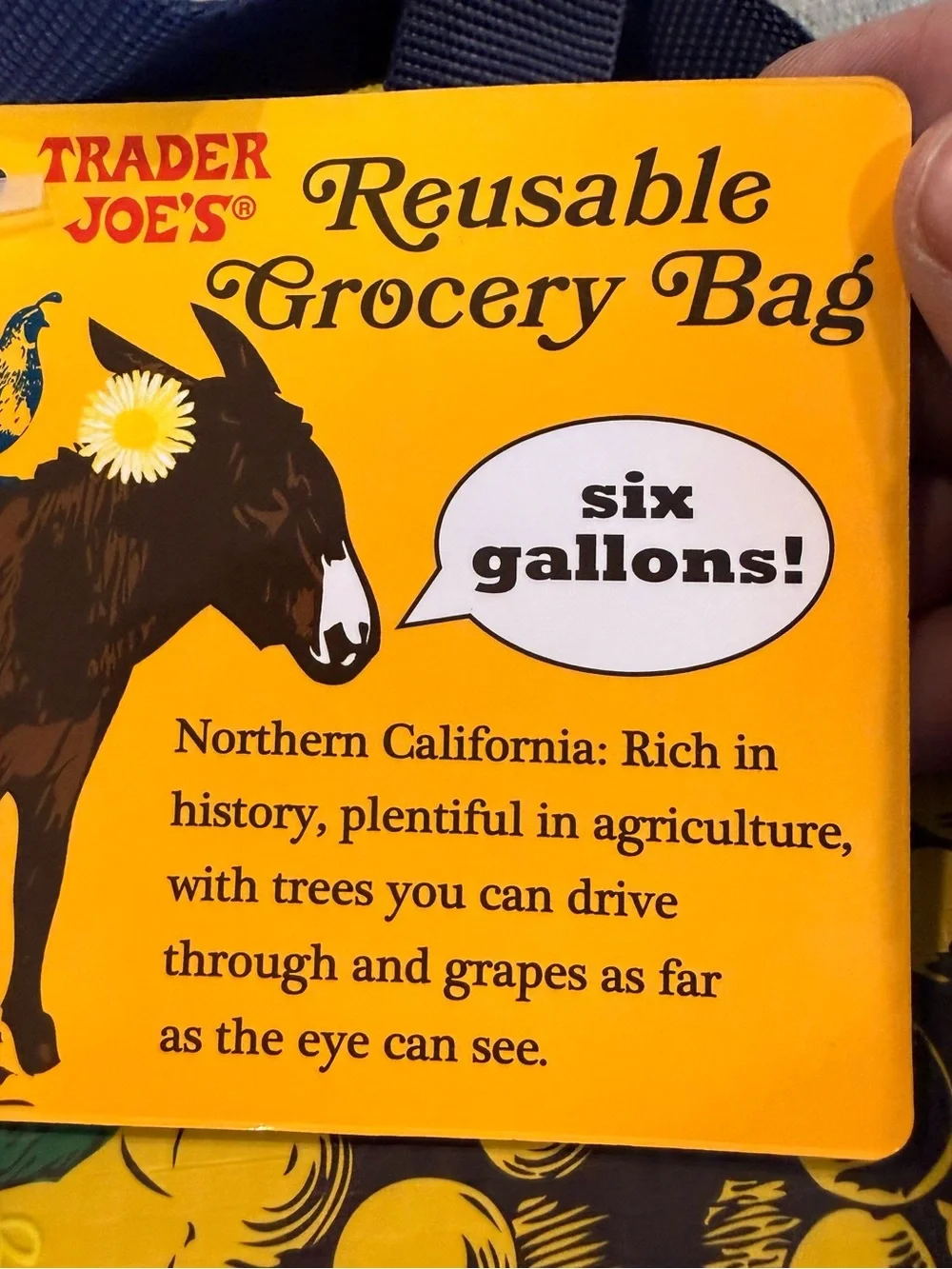 Trader Joe’s Northern California Reusable Grocery Shopping Tote Bag 6 Gallon NWT
